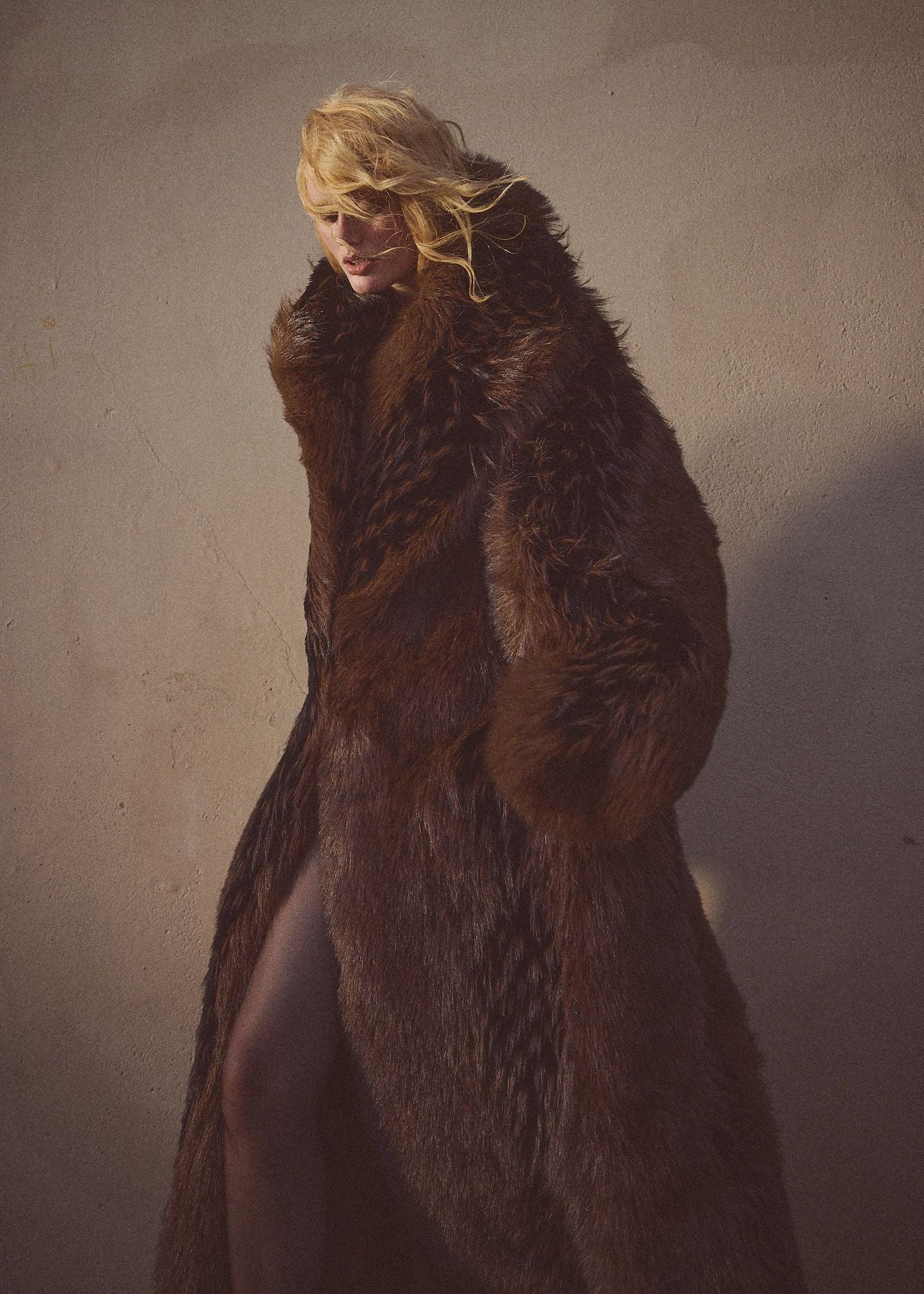 THE FOX COAT - Espresso Noir - Image 3
